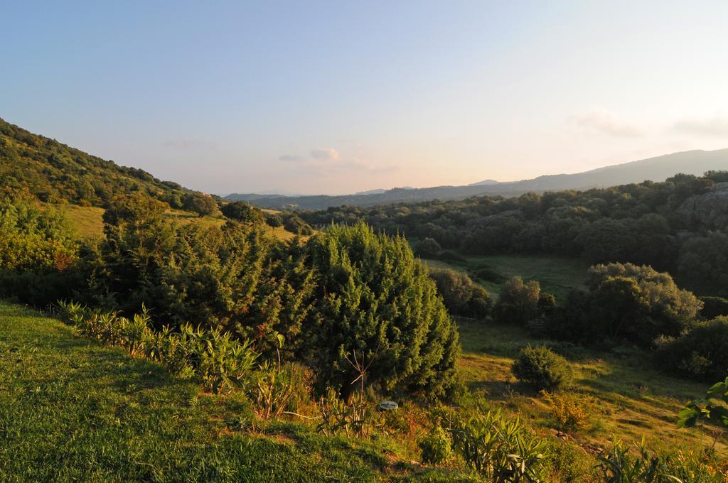 B&B La Murichessa Арцакена Экстерьер фото